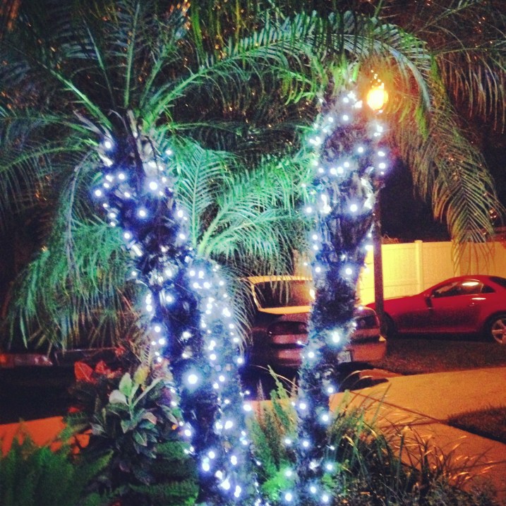 This is how we roll in Florida.