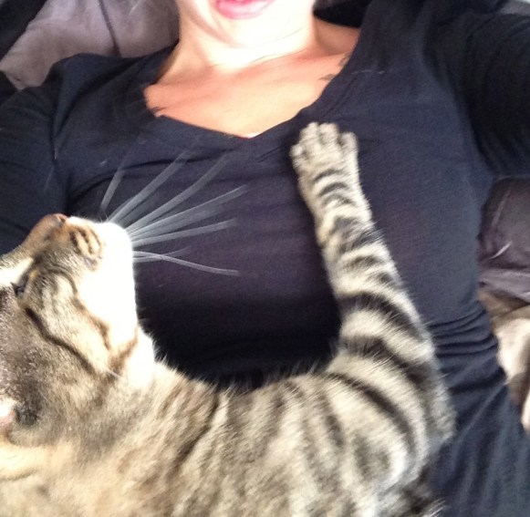 Who wants to disturb this?