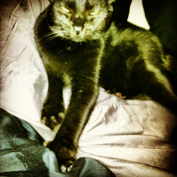 My baby boy is so good. And cute. And lovey.