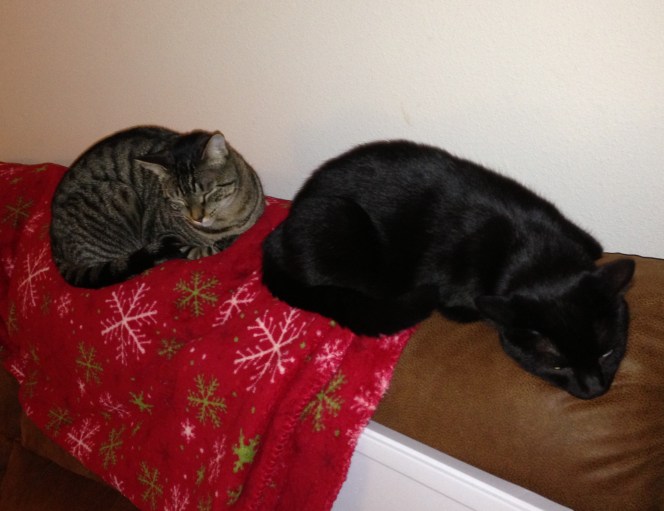 Please leave us alone. 