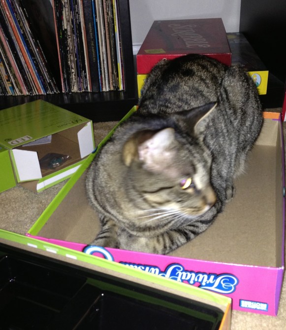 Taco was kind enough to referee for us. 