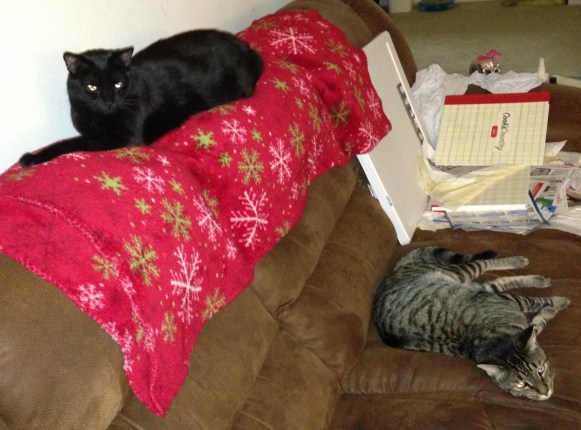 Oh, really, it's midnight? Eff off, humans.