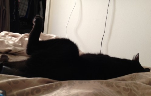 Moosh spreadin' his shiz.