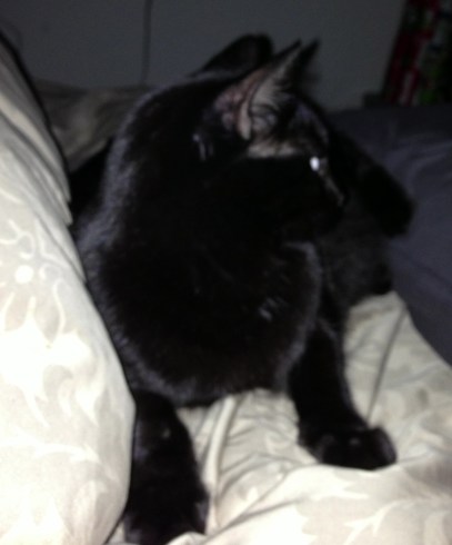 Moosh being the good son, as usual. Silent. 