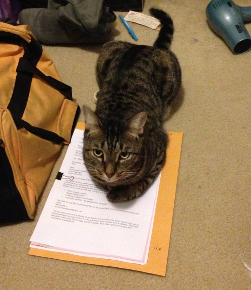 Here's another angle after an aborted lap attack. Back on the work. 