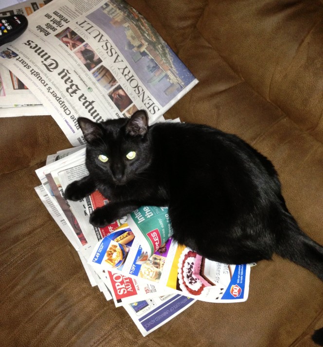 Moosh prefers to read his news in print rather than over the interwebz.