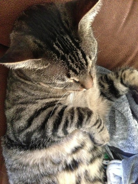 Naptime. Play hard, sleep hard. 