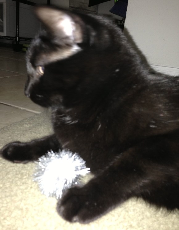 Don't eat sparkle balls, either. 