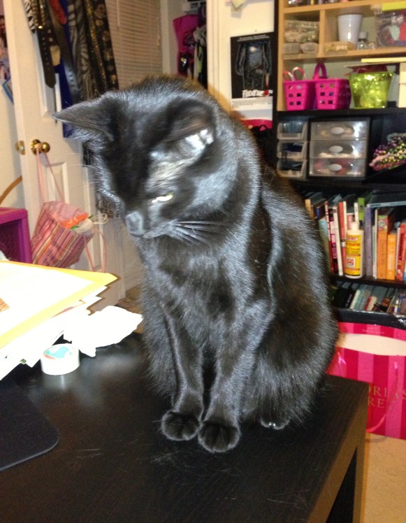 Now he can jump on his OWN furniture. HAH!