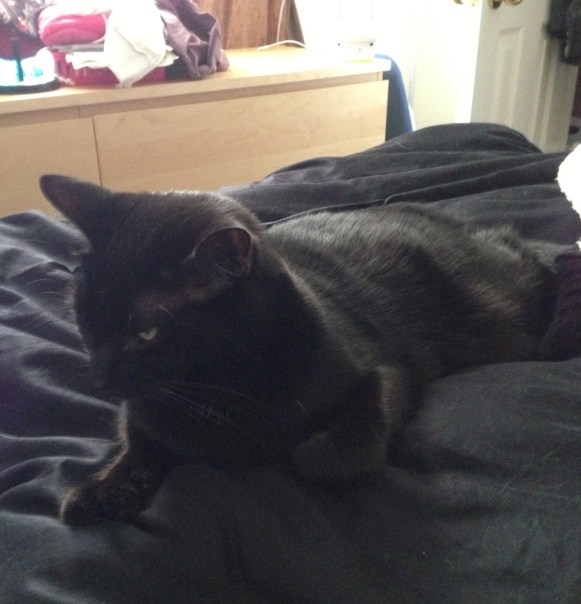 Moosh loves being near his mommy. 