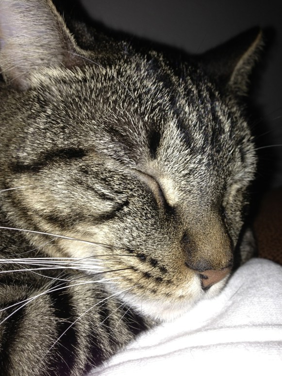 This is as close as I wanna be. 