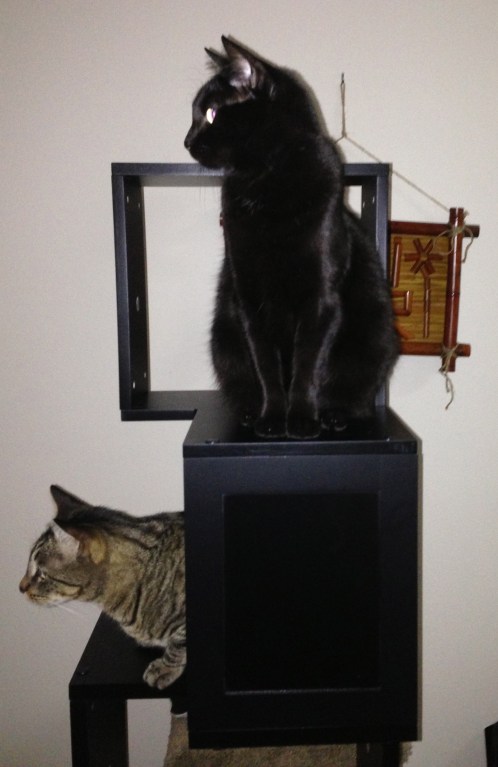 Enjoying the upper deck. 