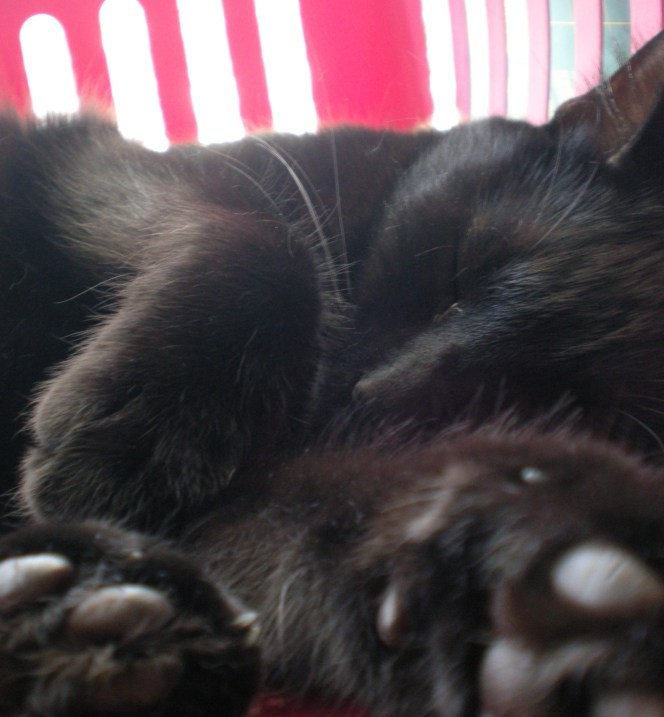 Now THIS is a good picture. 