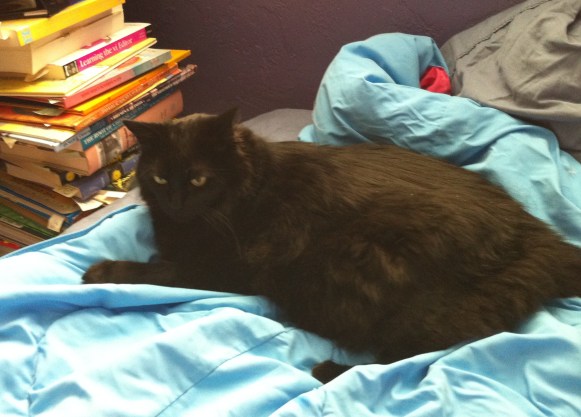 Lookit this giant fleshy mound of fur. 