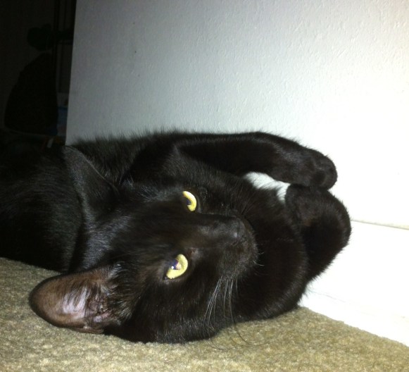 He looks weird and possibly dead here. 