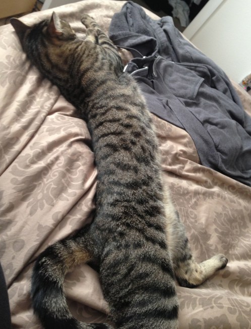 Sure, he may look like he's got his shit together here, but It's only because he's asleep. 