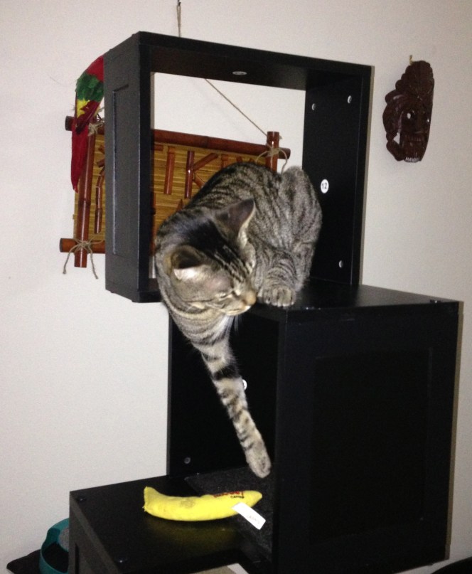 Might wanna look at the target, dummy.