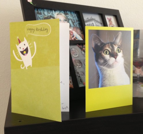 kitty cards
