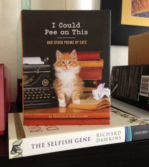 I also got a Richard Dawkins books, of which the title could ironically also refer to cats. 