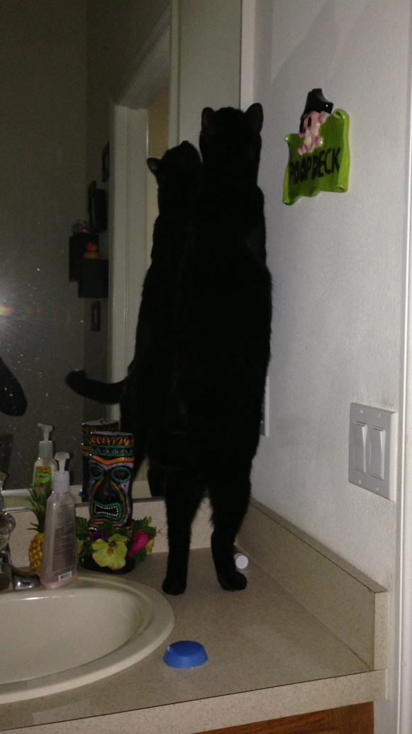 Oh, is that MEEEEE? I'm so HANDSOME!