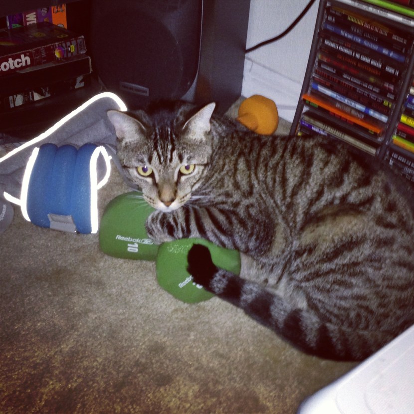 Taco's workin' on his fitness. 