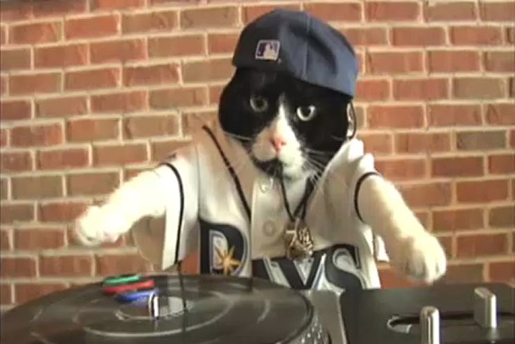 The REAL LIFE DJ Kitty.