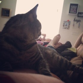 I'm his favorite bed. 