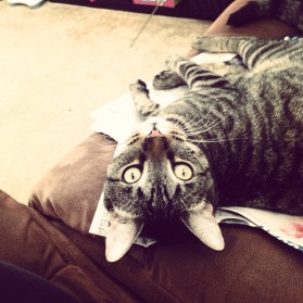 Here's looking at you, kid. 