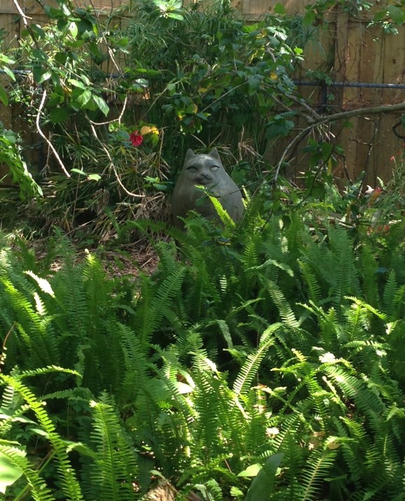 There was, however, this lovely view from the exam room. That cat looks quiet. Jealous. 