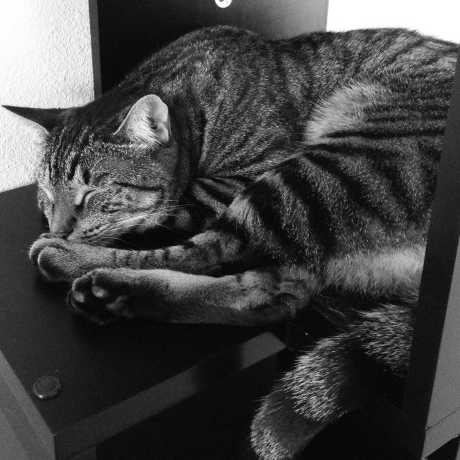 Get up and make me money.