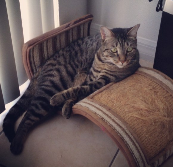 He's no angel either.