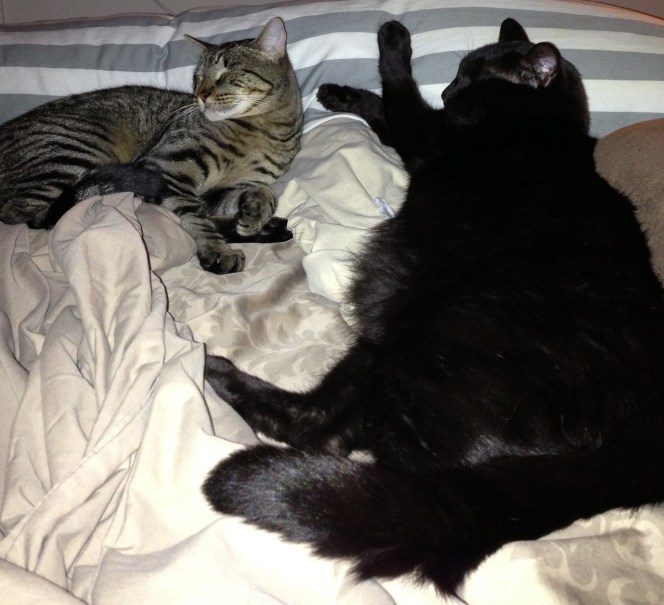 Gawd, Moosh looks like a fatty.