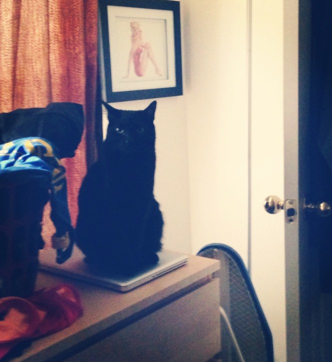 Oh hai. Don't mind me. 