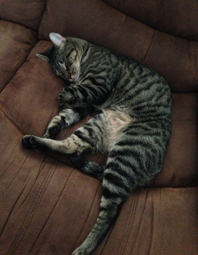 He's so effin' cute. 