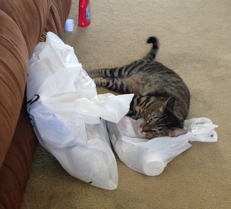 Little helper, my ass. 