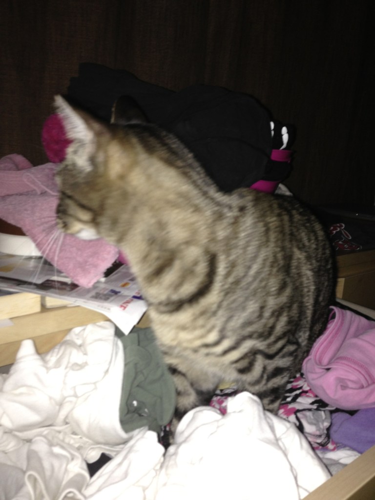 This was the best I could do. 