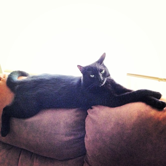 Moosh says "Follow me, beyotch"