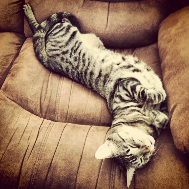 I suppose he doesn't look TOO upset at being neglected here. 