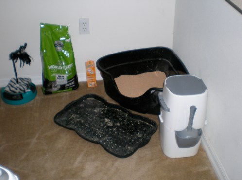 The boyfriend's FAVORITE decoration...the litter box in the "dining" area. 