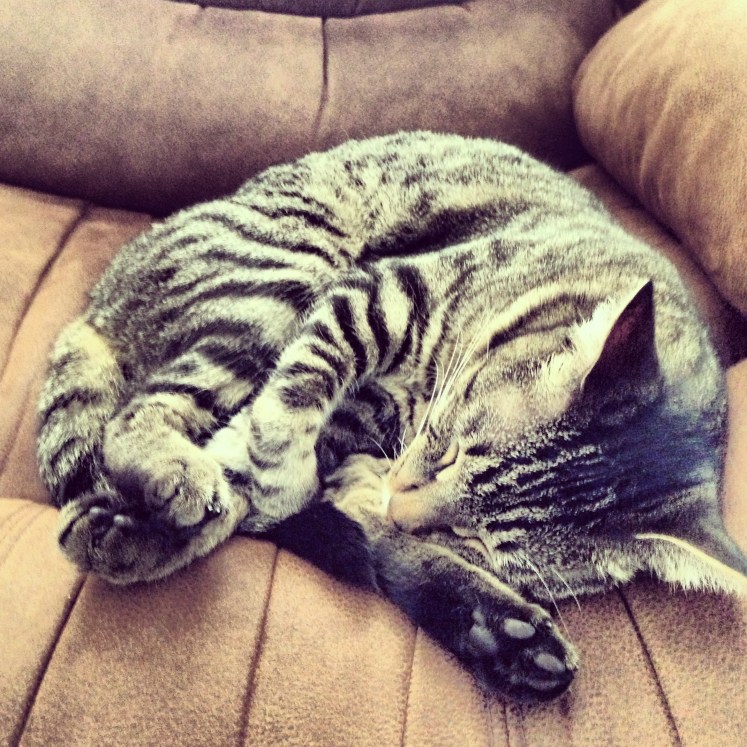 I wish he was like this more often. 