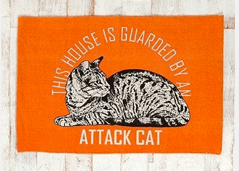 Scaredy cat, more like it. 