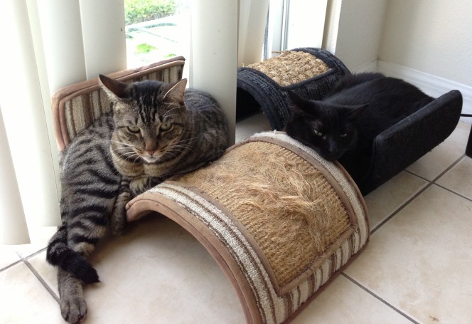 The two waves in happier times...