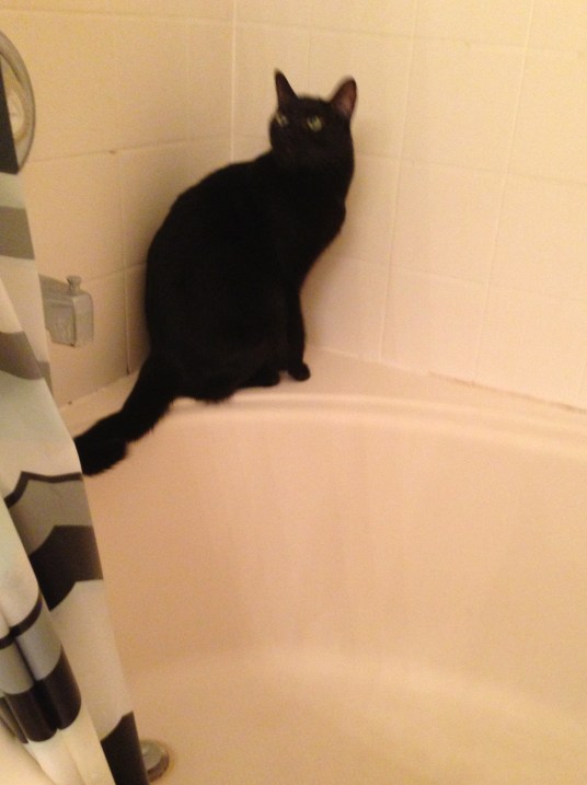 Why are you in the shower? What's wrong with you? 