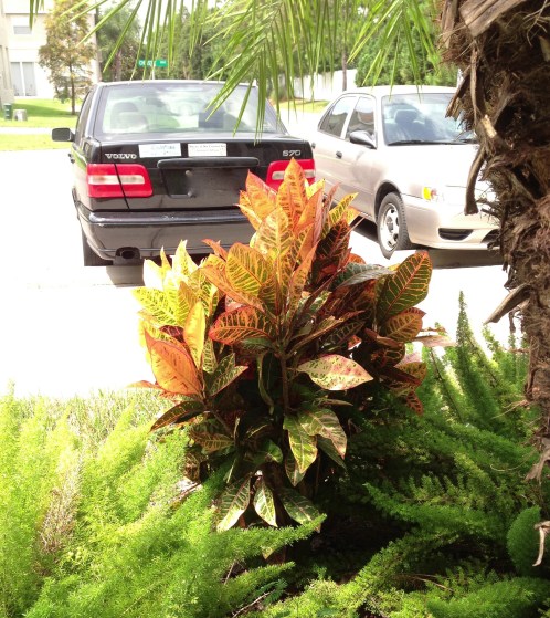 That's my hunk o' metal golddigger right there. I don't know why I blurred out the license plate. It's what they do on TV. But now that I think about it, thousands of people a day see my license plate when I'm driving, so it's not exactly a secret. 