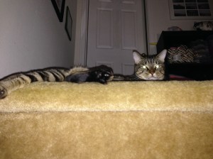 The danger is always lurking. 