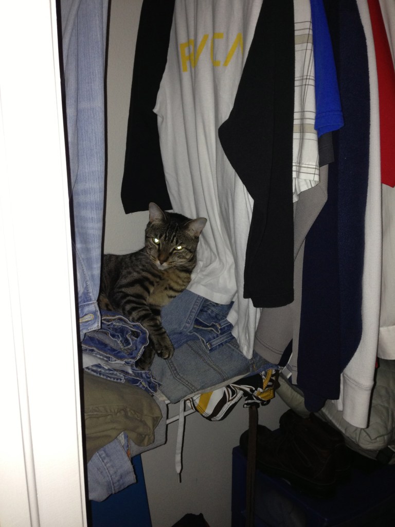 Denim beds are all the rage, didn't you know?