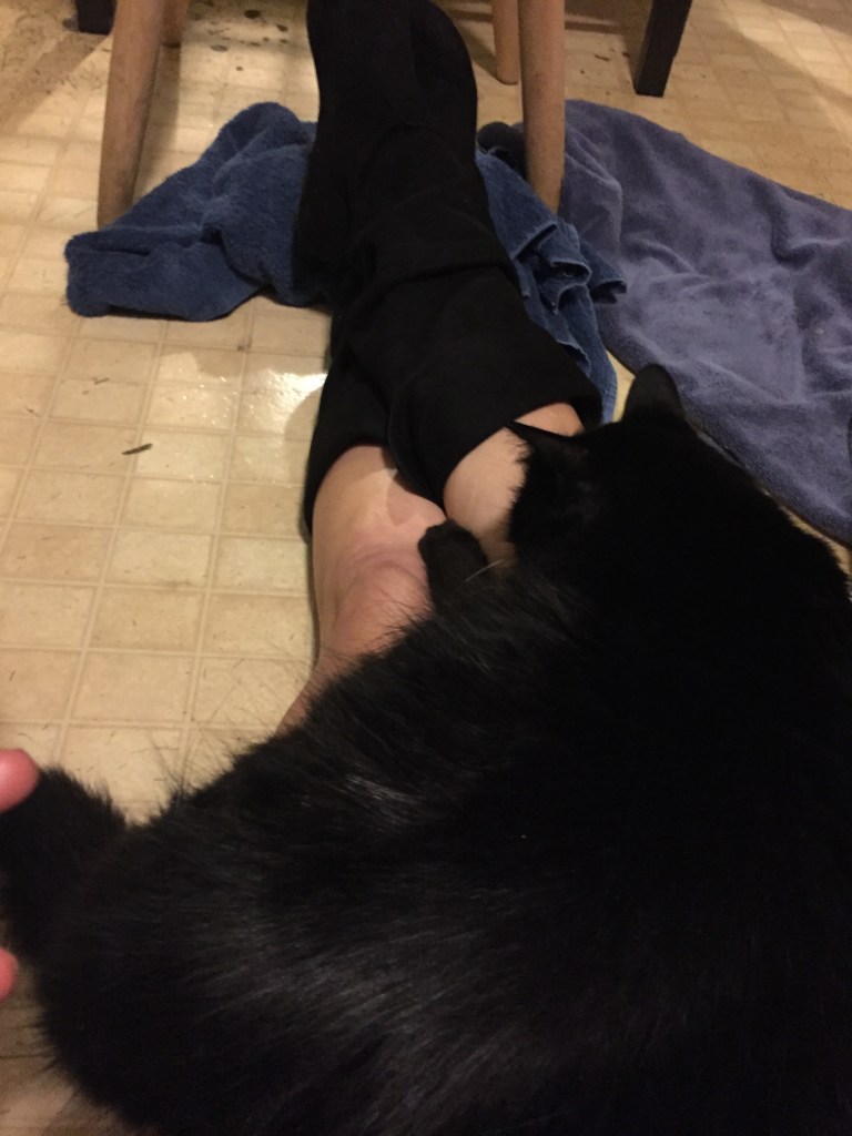 He will happily sit here for hours. My butt might not be ok with that, but I am.