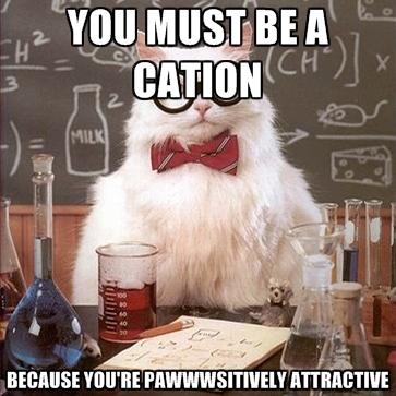 you-must-be-a-cation-because-youre-pawwwsitively-attractive